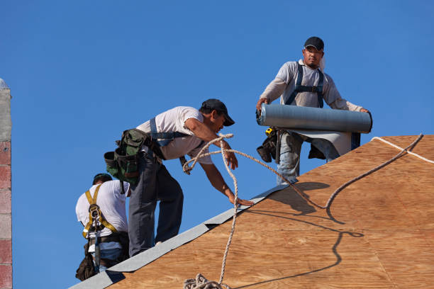 Best Emergency Roof Repair  in University Place, WA