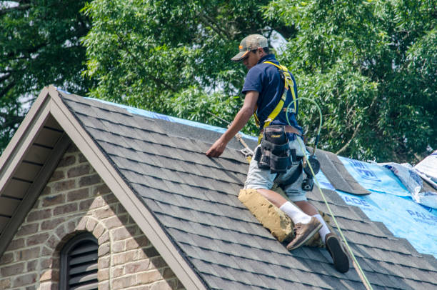 Best New Roof Installation  in University Place, WA